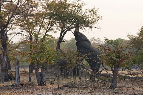 Victoria Falls holiday itinerary