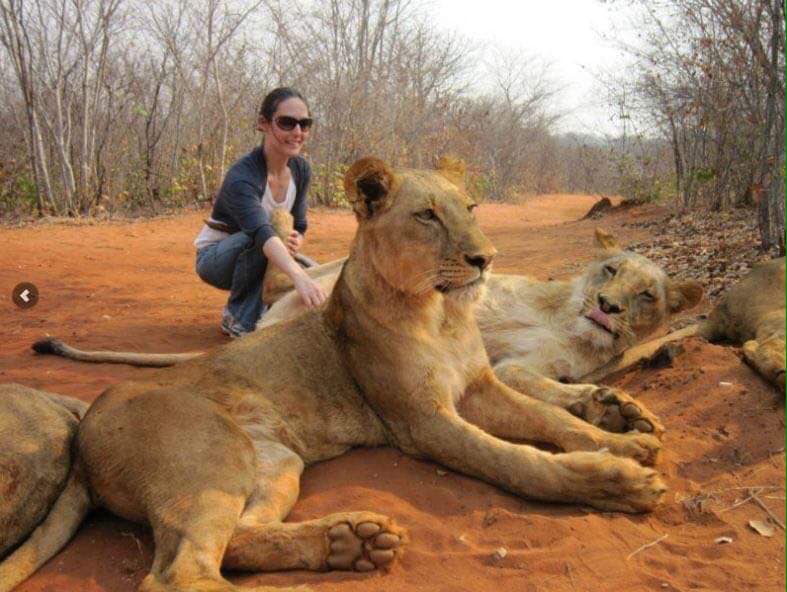 Lion Walk