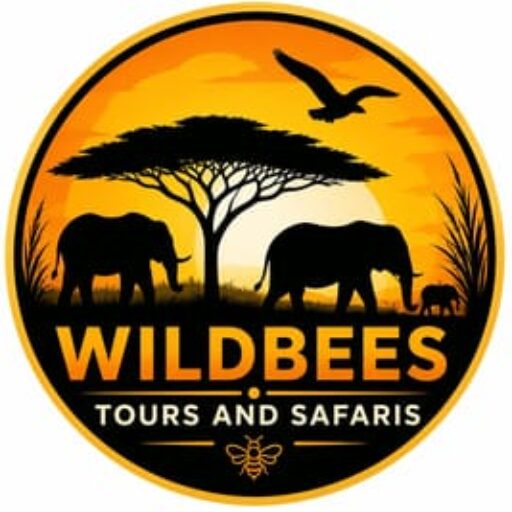 Wildbees Tours and Safaris